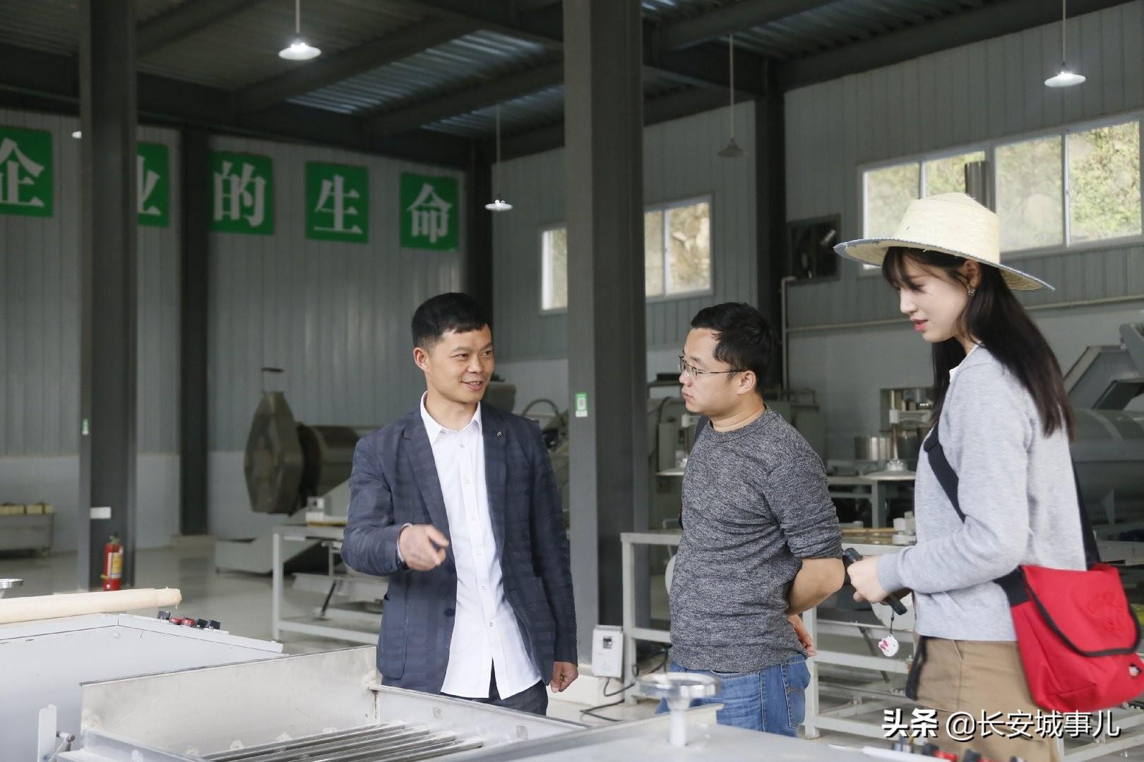 镇巴楮河富硒茶(富硒茶走廊)-硒宝网