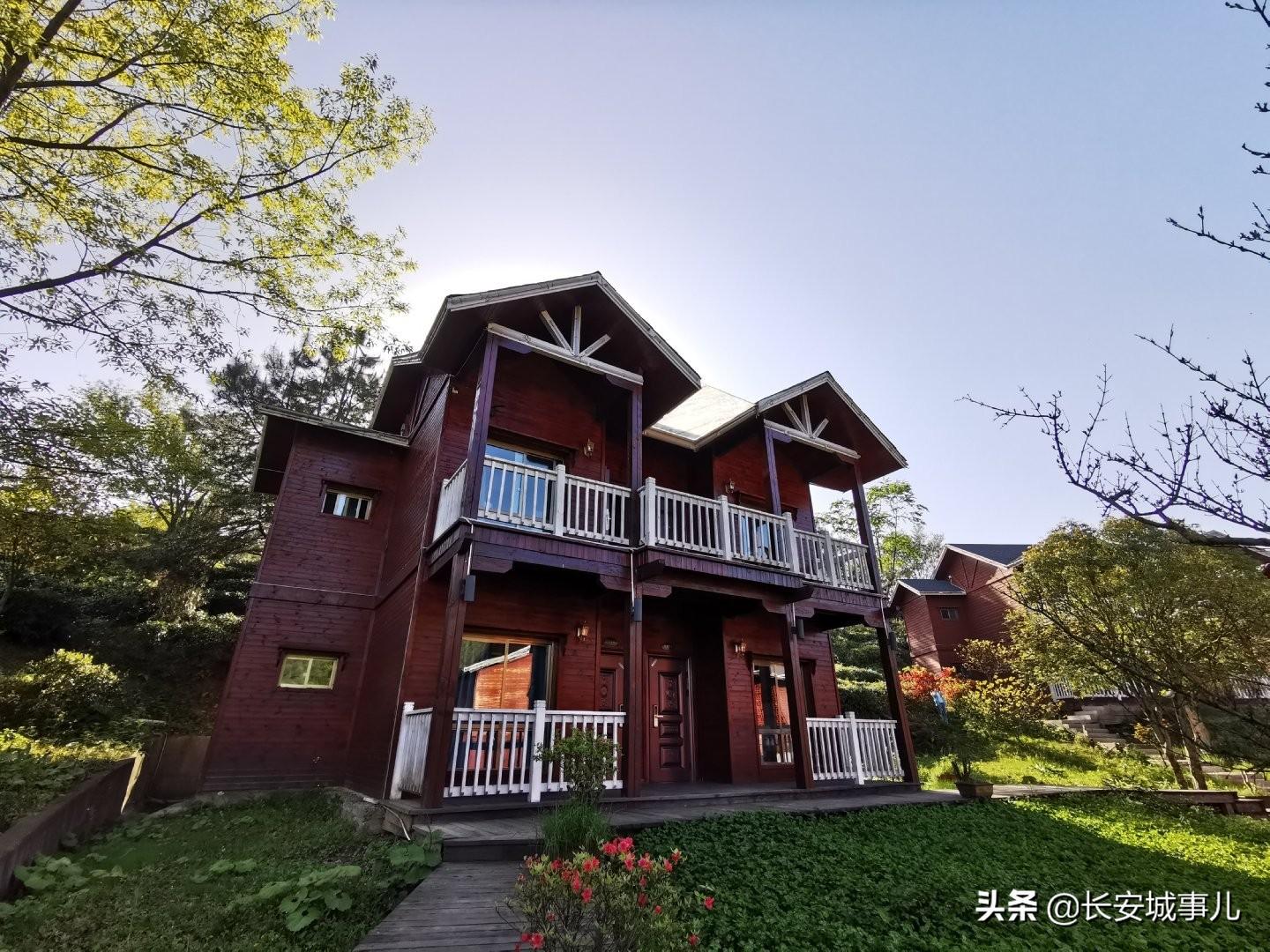 镇巴楮河富硒茶(富硒茶走廊)-硒宝网