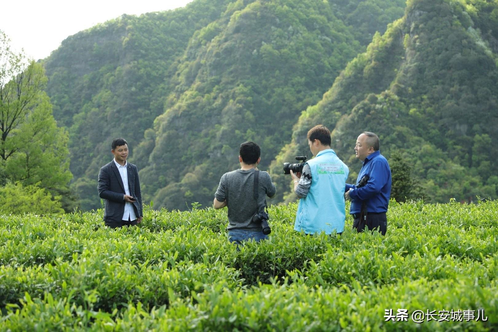 镇巴楮河富硒茶(富硒茶走廊)-硒宝网