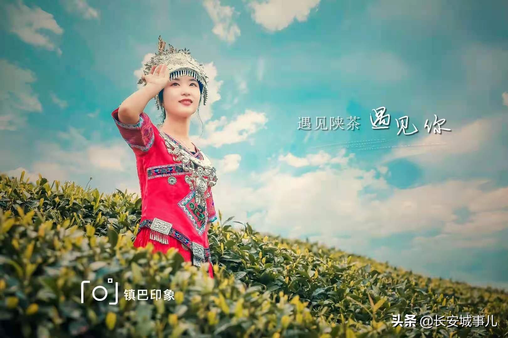 镇巴楮河富硒茶(富硒茶走廊)-硒宝网