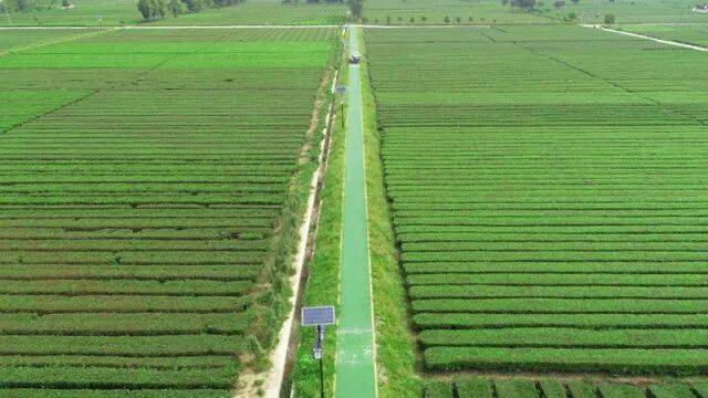 茶庵铺富硒小镇（江津哪个小镇含富硒）-硒宝网