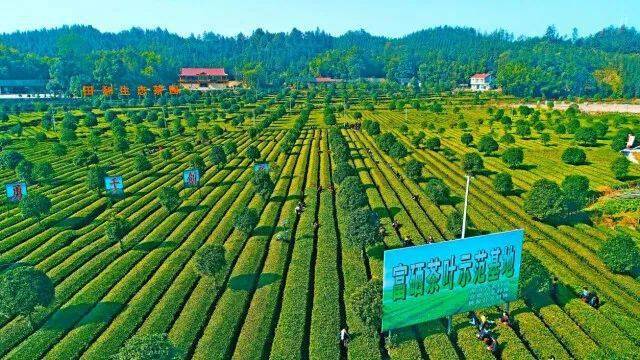 茶庵铺富硒小镇（江津哪个小镇含富硒）-硒宝网