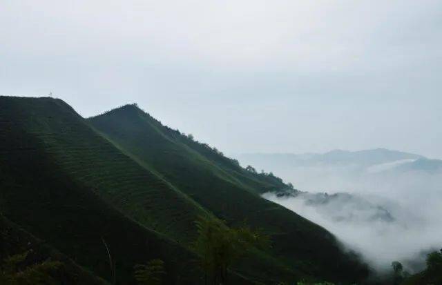 茶庵铺富硒小镇（江津哪个小镇含富硒）-硒宝网
