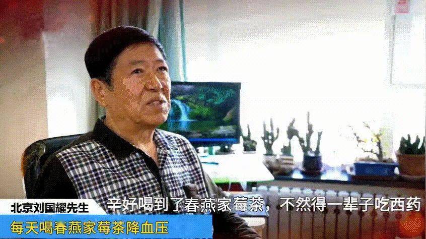 富硒藤茶降血压(血压降富硒藤茶怎么喝)-硒宝网