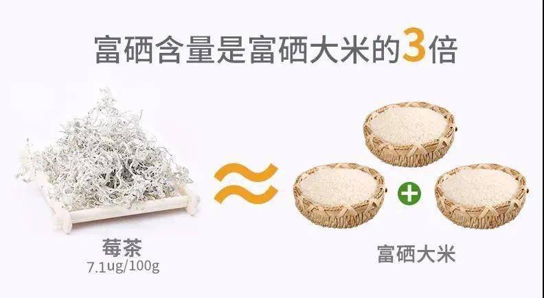 富硒藤茶降血压(血压降富硒藤茶怎么喝)-硒宝网