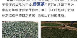 富硒生茶饼批发（富硒茶庄）-硒宝网