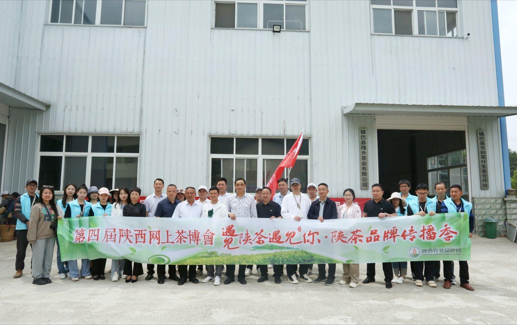 镇巴楮河富硒茶(巴中富硒茶)-硒宝网