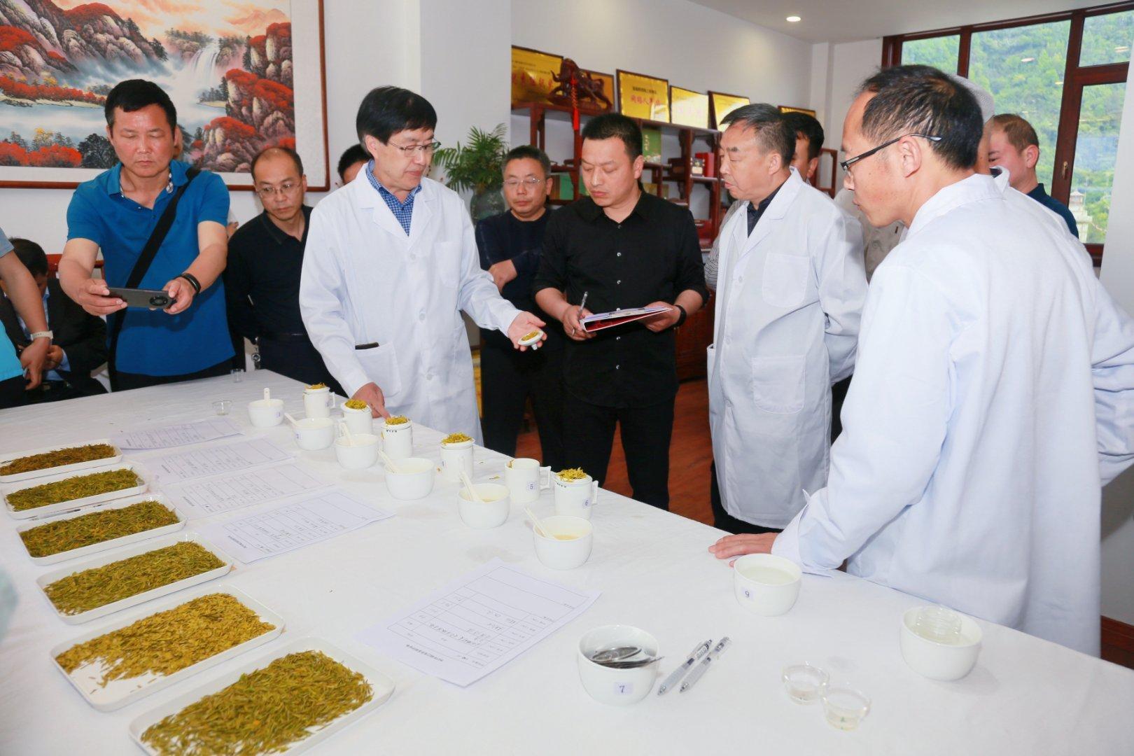 镇巴楮河富硒茶(巴中富硒茶)-硒宝网