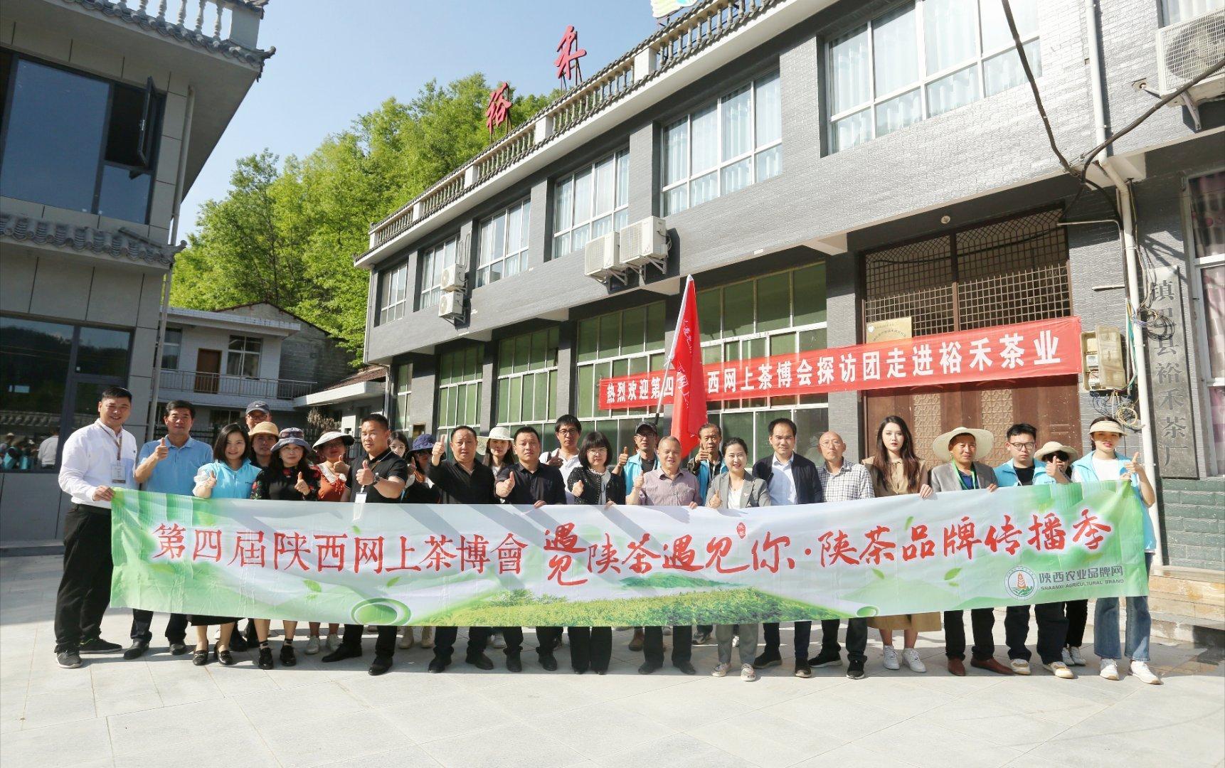 镇巴楮河富硒茶(巴中富硒茶)-硒宝网