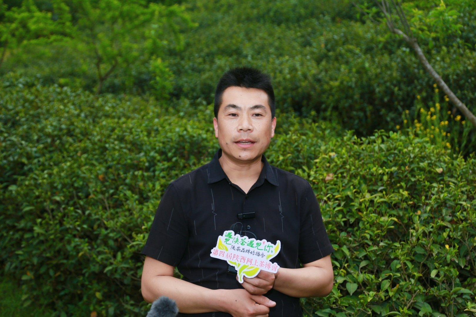 镇巴楮河富硒茶(巴中富硒茶)-硒宝网