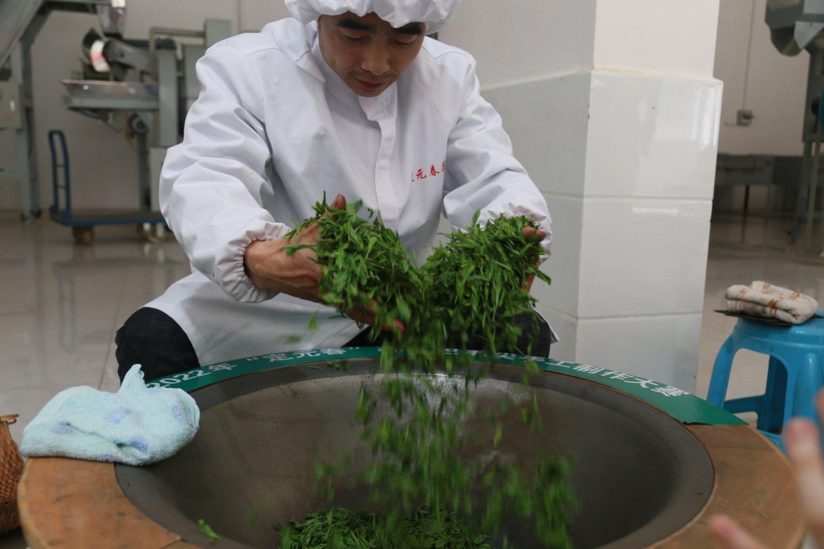 镇巴楮河富硒茶(巴中富硒茶)-硒宝网