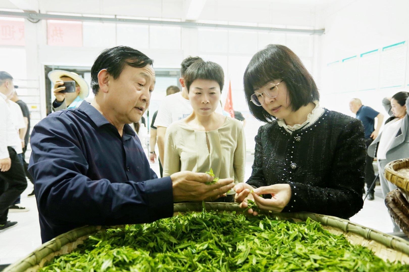 镇巴楮河富硒茶(巴中富硒茶)-硒宝网