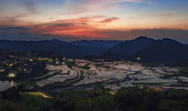 开阳高寨富硒茶（开阳富硒茶多少钱一斤）-硒宝网
