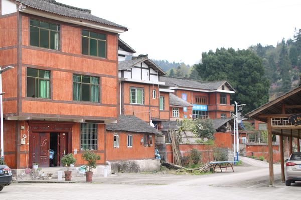 开阳高寨富硒茶（开阳富硒茶多少钱一斤）-硒宝网