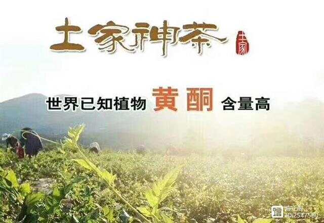 莓茶含有富硒吗（富硒莓茶的功效）-硒宝网