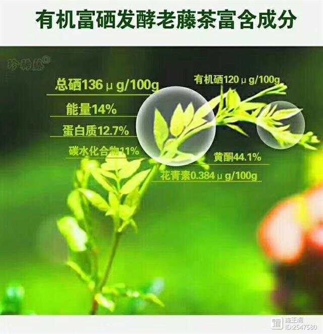 莓茶含有富硒吗（富硒莓茶的功效）-硒宝网