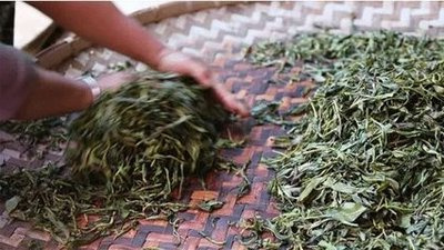 金华富硒生茶饼(富硒茶园)-硒宝网