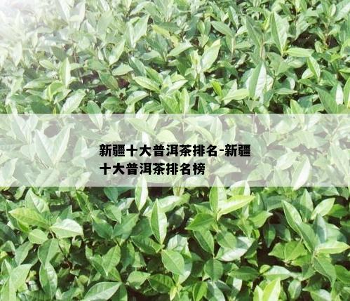 金华富硒生茶饼(富硒茶园)-硒宝网