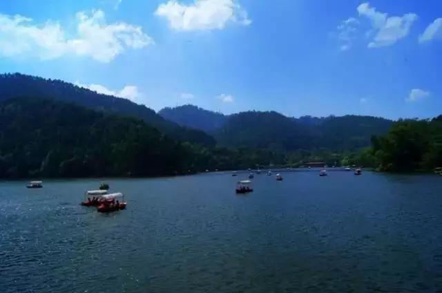 开阳高寨富硒茶(开阳富硒茶园)-硒宝网