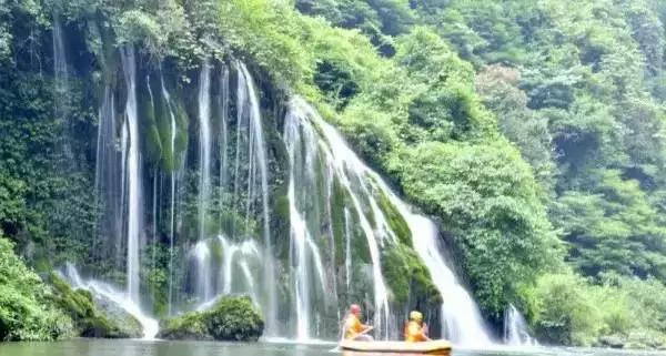 开阳高寨富硒茶(开阳富硒茶园)-硒宝网