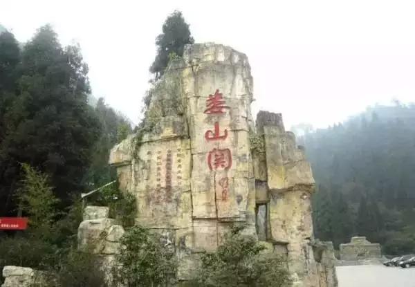 开阳高寨富硒茶(开阳富硒茶园)-硒宝网