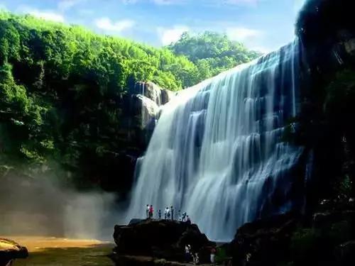 开阳高寨富硒茶(开阳富硒茶园)-硒宝网