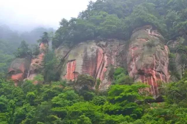 开阳高寨富硒茶(开阳富硒茶园)-硒宝网