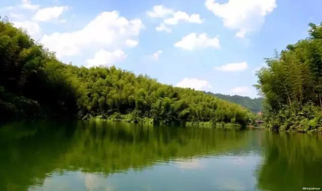 开阳高寨富硒茶(开阳富硒茶园)-硒宝网