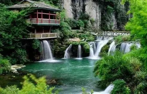 开阳高寨富硒茶(开阳富硒茶园)-硒宝网