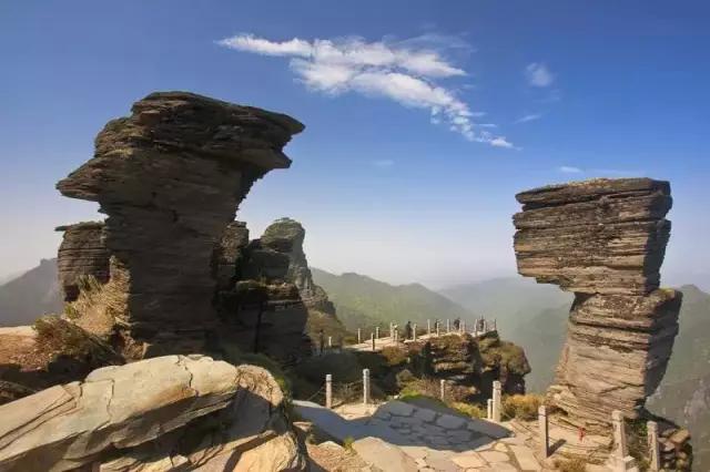 开阳高寨富硒茶(开阳富硒茶园)-硒宝网