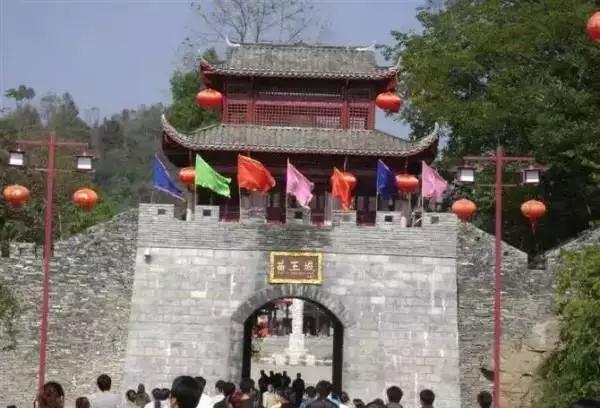 开阳高寨富硒茶(开阳富硒茶园)-硒宝网