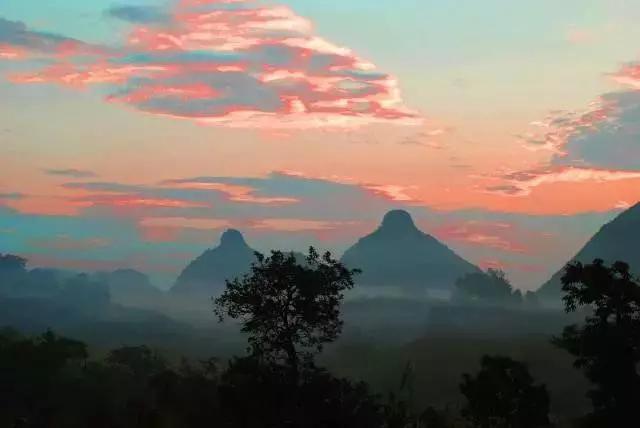 开阳高寨富硒茶(开阳富硒茶园)-硒宝网