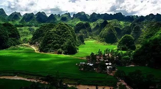 开阳高寨富硒茶(开阳富硒茶园)-硒宝网