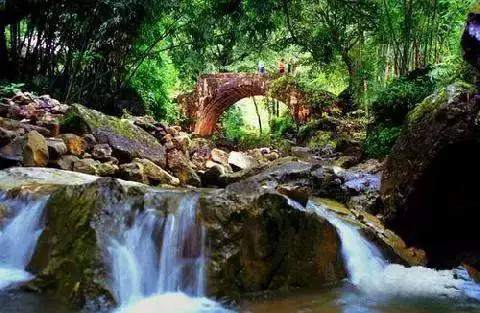 开阳高寨富硒茶(开阳富硒茶园)-硒宝网