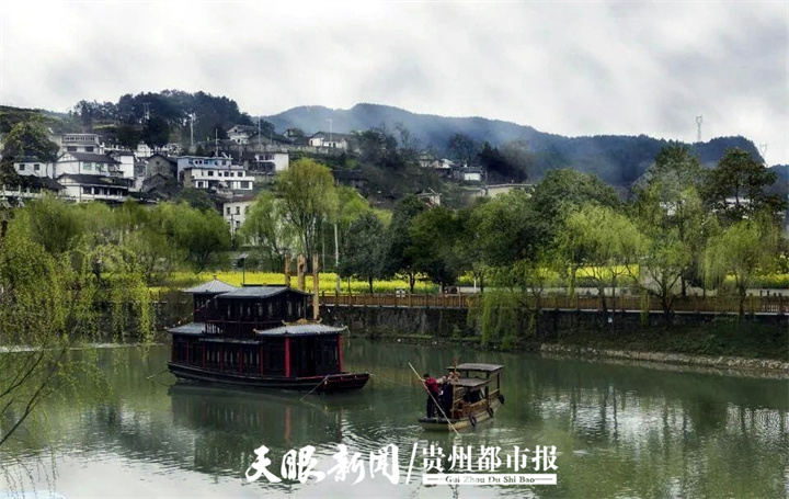 开阳高寨富硒茶（开阳富硒茶地理标志）-硒宝网