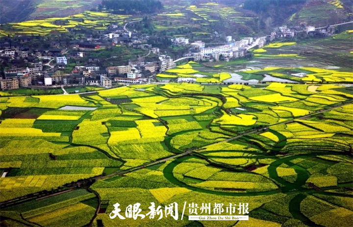 开阳高寨富硒茶（开阳富硒茶地理标志）-硒宝网