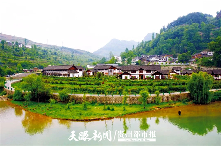 开阳高寨富硒茶（开阳富硒茶地理标志）-硒宝网