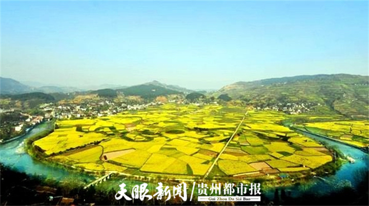 开阳高寨富硒茶（开阳富硒茶地理标志）-硒宝网