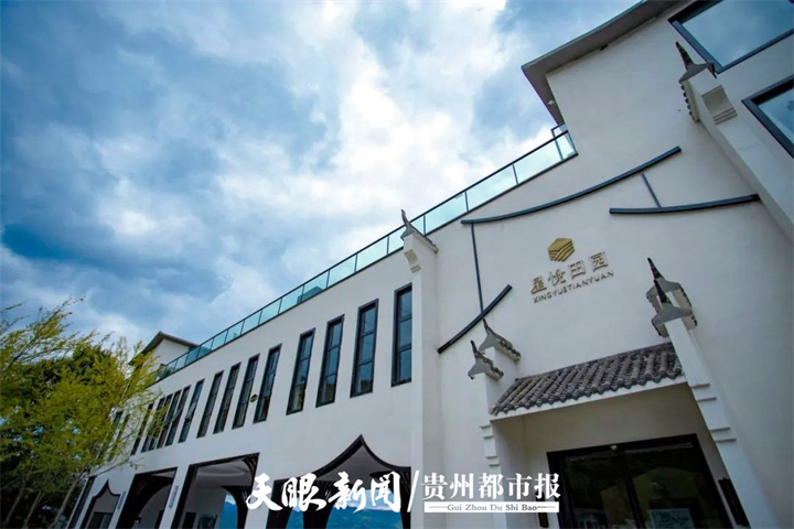 开阳高寨富硒茶（开阳富硒茶地理标志）-硒宝网