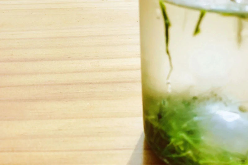 恩旋高山富硒茶(高山硒红茶好处)-硒宝网