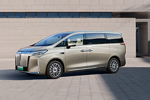 恩旋高山富硒茶（高山富硒茶属于什么茶）-硒宝网