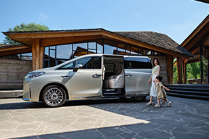 恩旋高山富硒茶（高山富硒茶属于什么茶）-硒宝网