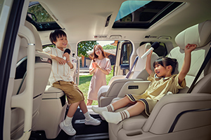 恩旋高山富硒茶（高山富硒茶属于什么茶）-硒宝网