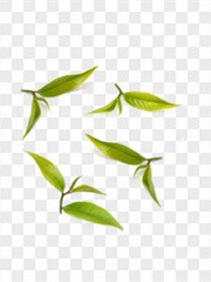 富硒茶喝着涩口(喝富硒茶的好处)-硒宝网