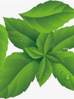 富硒茶喝着涩口(喝富硒茶的好处)-硒宝网