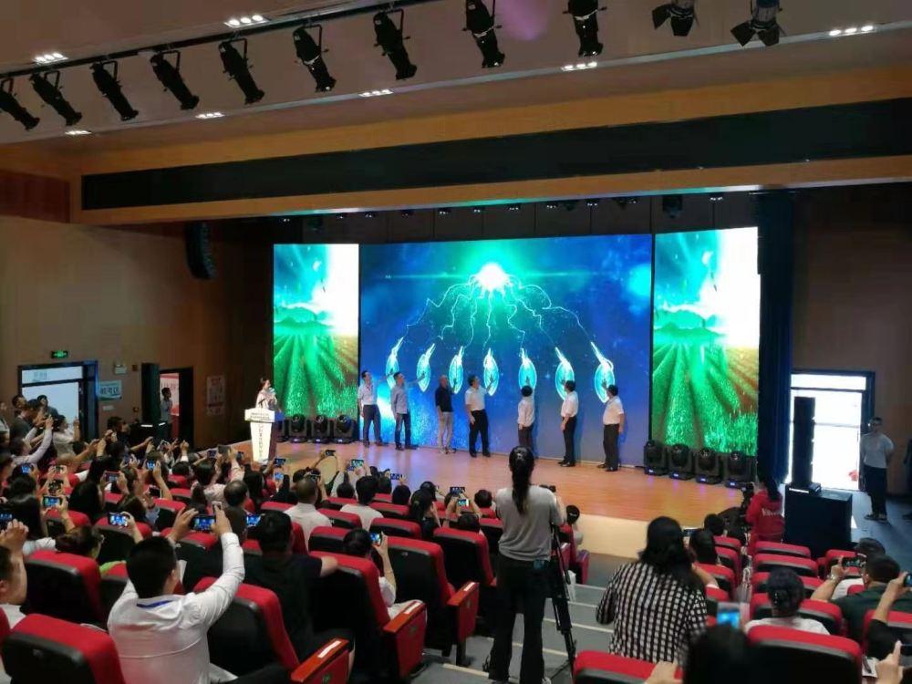 恩施富硒茶立早（恩施富硒新茶）-硒宝网