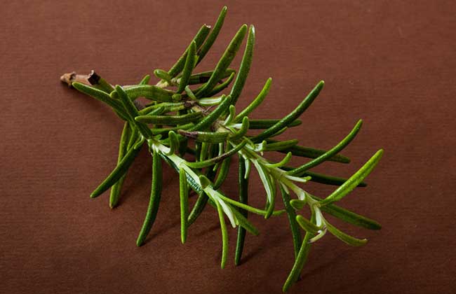 富硒高钙养心茶（高钙富硒功效）-硒宝网