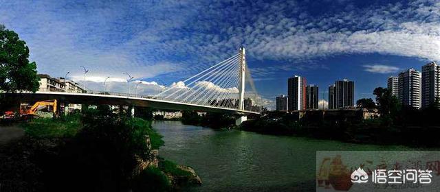 巴东垭口富硒茶（巴东茶）-硒宝网