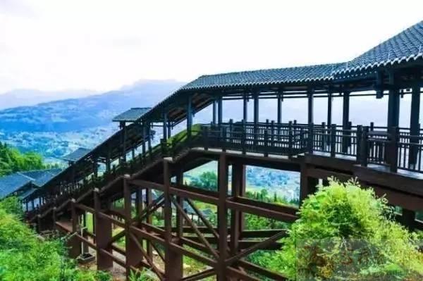 巴东垭口富硒茶（巴东茶）-硒宝网