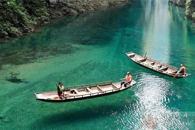 巴东垭口富硒茶（巴东茶）-硒宝网